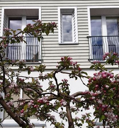 Kranto Vila Palanga Ngoại thất bức ảnh