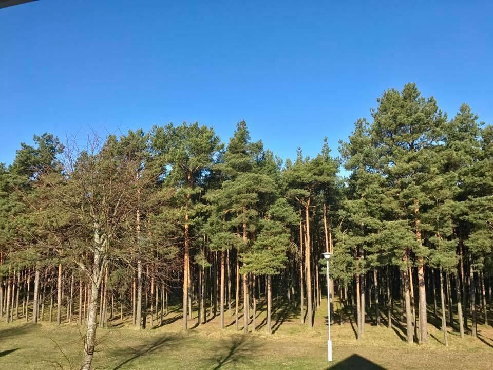Kranto Vila Palanga Ngoại thất bức ảnh